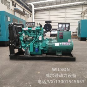 潍坊50kw柴油发电机组