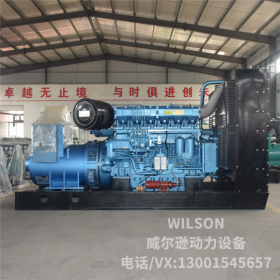 潍柴博杜安500kw柴油发电机组