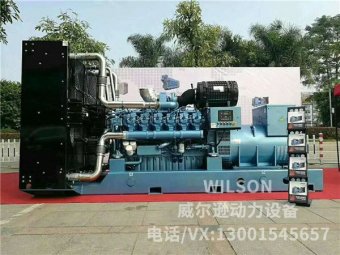潍柴博杜安1200kw柴油发电机组