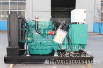 潍柴股份50kw柴油发电机组