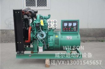 玉柴系列20kw柴油发电机组
