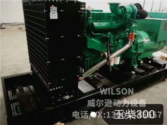 玉柴系列300kw柴油发电机组