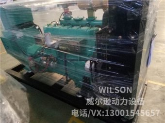 潍坊50Kw燃气发电机组