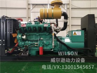 潍坊100kw沼气发电机组