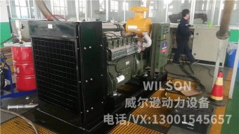 潍坊120kw沼气发电机组