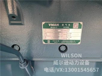 300KW V-MAN沼气发电机组