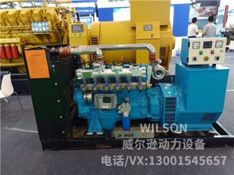 潍坊华丰80kw燃气发电机组