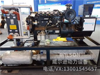 雷沃40kw沼气发电机组