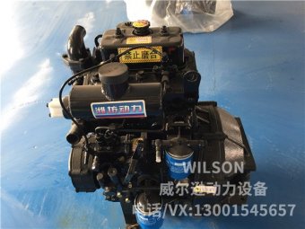 潍坊两缸2110G带离合器柴油机