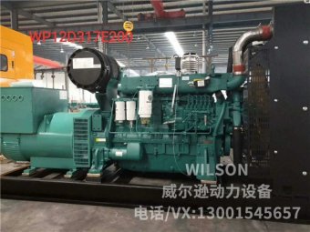 潍柴股份250kw柴油发电机组